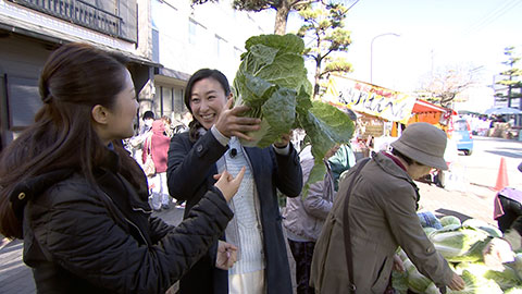 日青果　カネセ