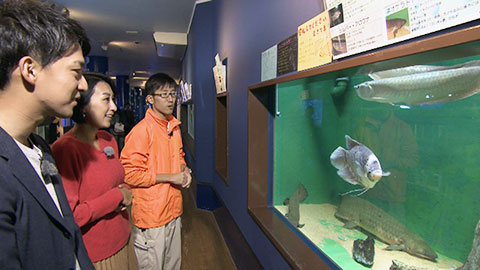 竹島水族館