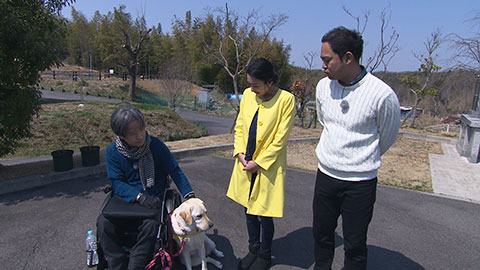 介助犬ティティー