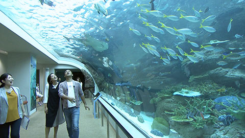 名古屋港水族館