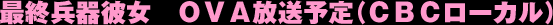 最終兵器彼女　ＯＶＡ放送予定（ＣＢＣローカル）