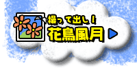 撮って出し！花鳥風月