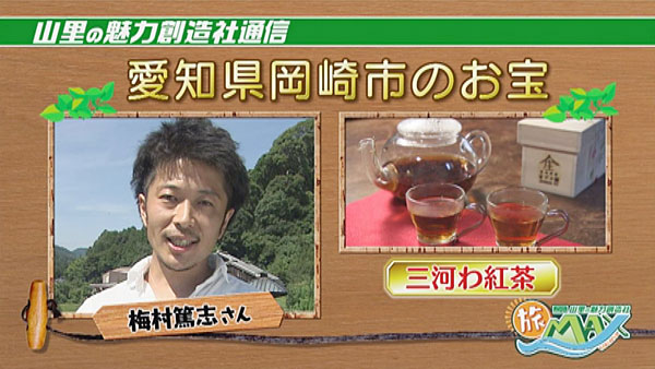 みどころ
