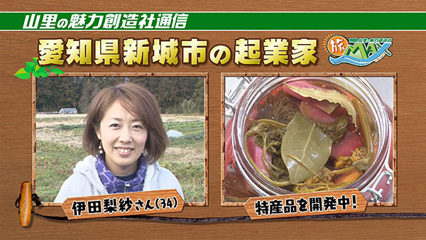 みどころ