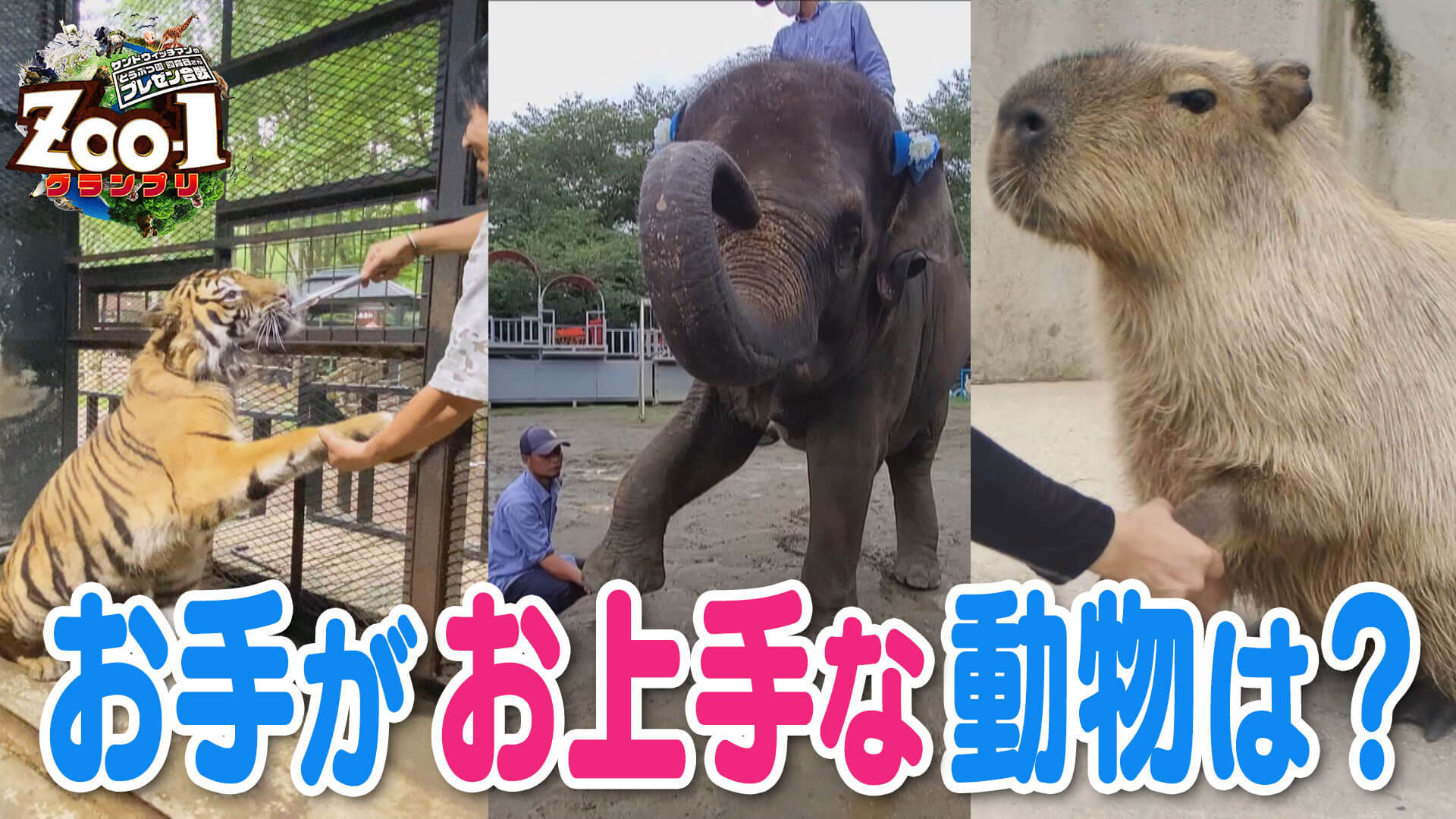 お手がお上手な動物は？